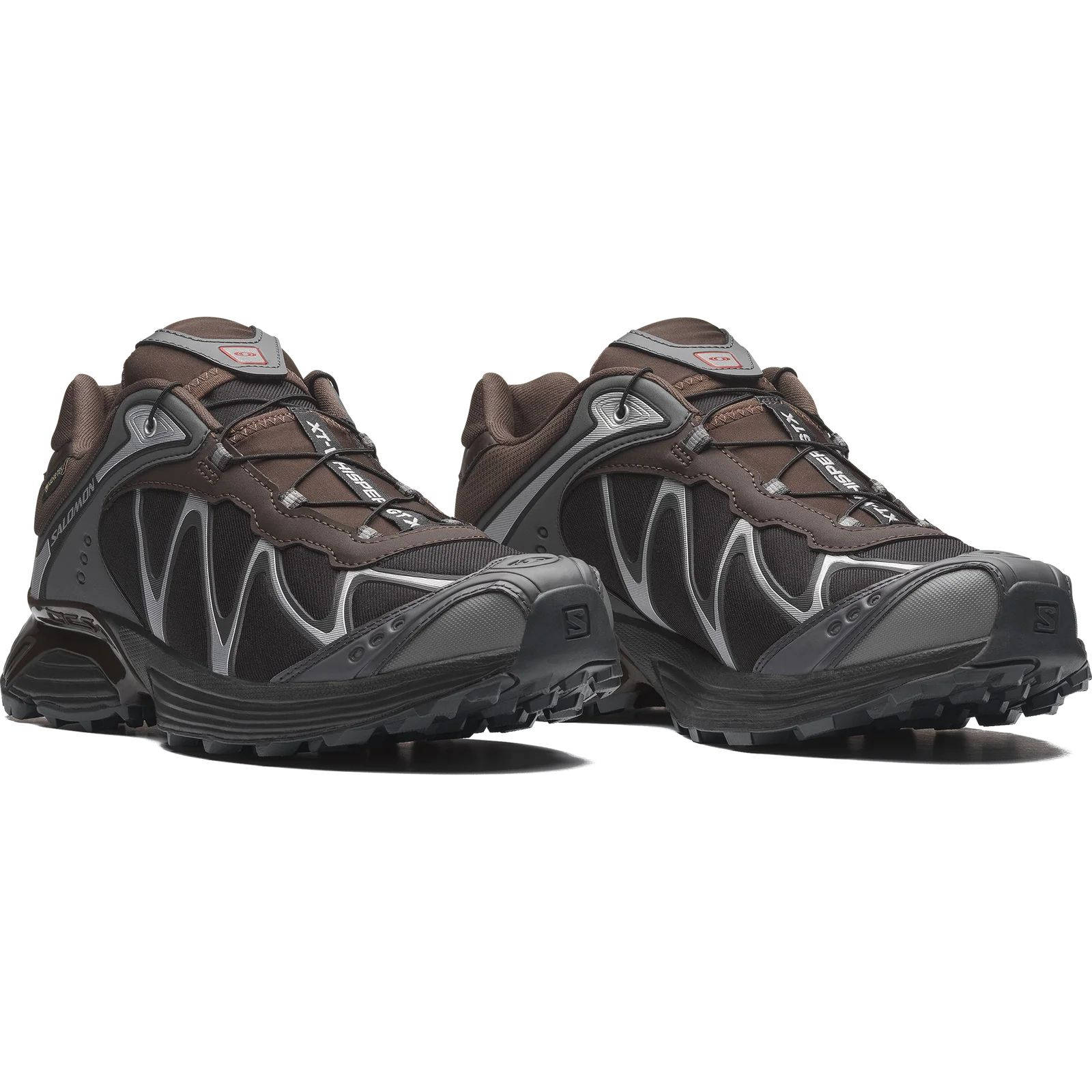 Salomon XT Whisper GTX Delicioso Asphalt L45397800 front