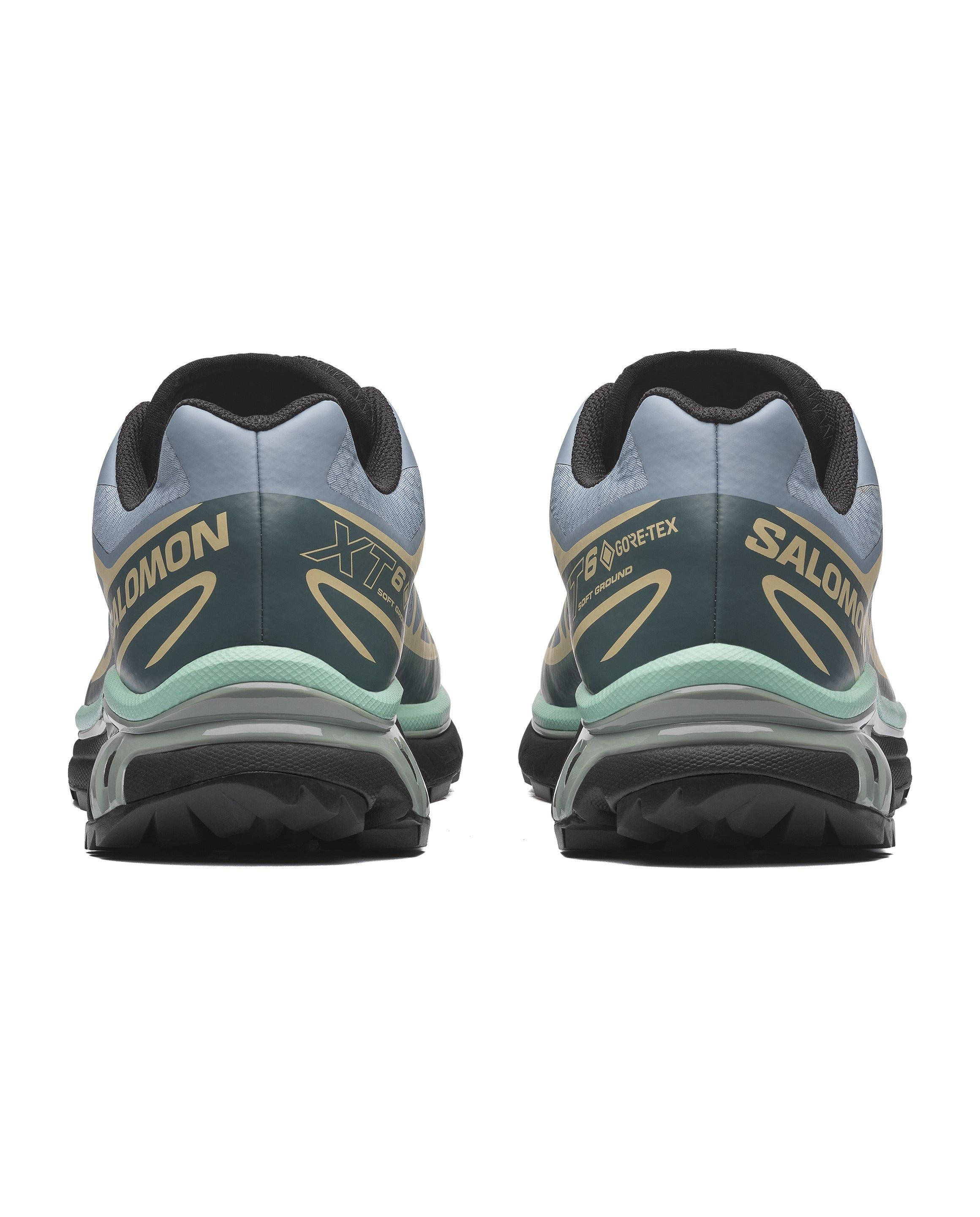 Salomon XT 6 GORE TEX Tradewinds Bog L49214800 back