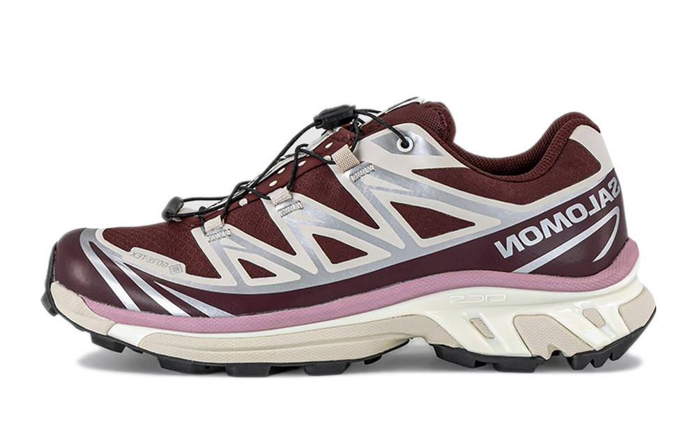 Offspring X Salomon XT-6 GORE-TEX Polka Dot Brown L45567500