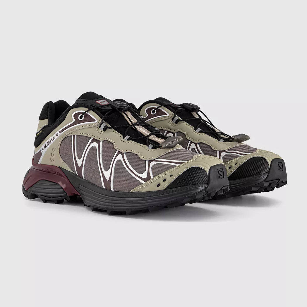 Salomon XT Whisper GORE TEX Huckleberry Maroon L45397500 front